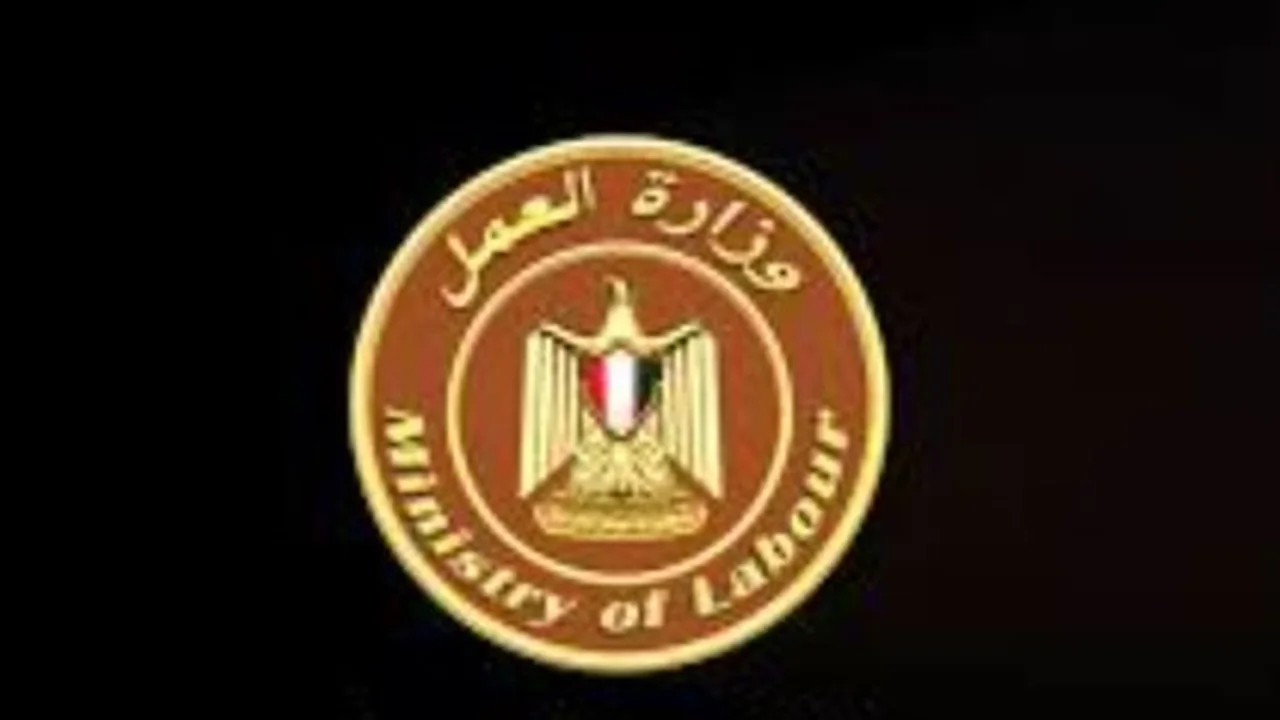 وظائف وزارة العمل.. شروط التقديم ووسائل التواصل المتاحة